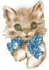 Cute Kitten with Glitter Bow