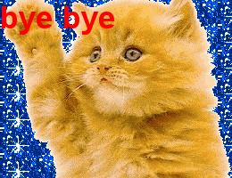 Bye Bye cat blue glitters
