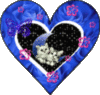 Love -- Heart Kittens