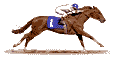 Horseback racing