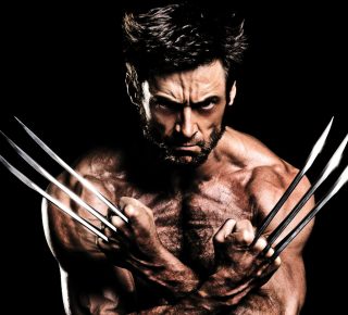 Wolverine