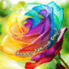 Happy Name Day! -- Multicolor Rose