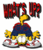 What's Up? -- Garfield