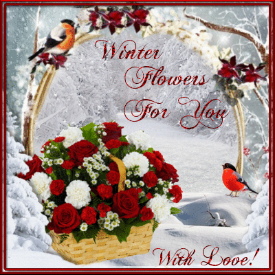 Winter Flowers For You