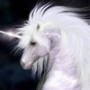 White Unicorn