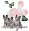 Happy Weekend -- Kittens and Flowers