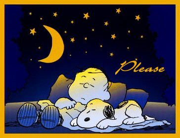Good Night -- Snoopy
