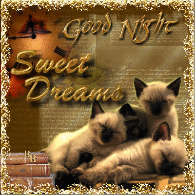 Good Night Sweet Dreams -- Kittens