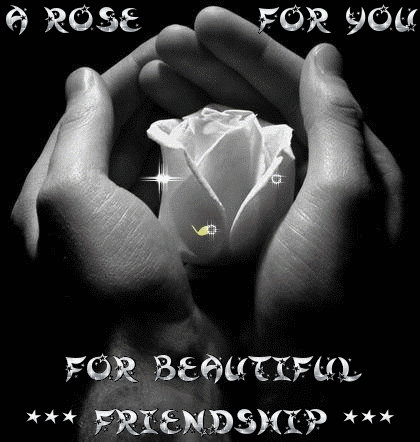 A Rose For You For Beautiful Friendship