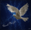 Good Night -- Pigeon