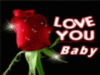 Love You Baby -- Red Rose