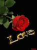 Love -- Red Rose