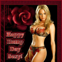 Happy Hump Day Sexy!