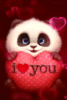 I Love You Panda