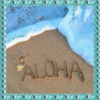 Aloha -- Summer