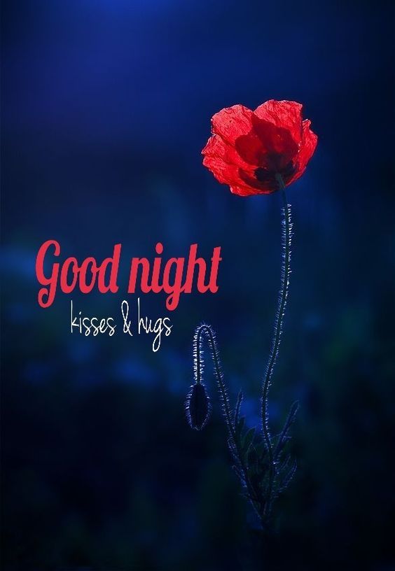 Good Night Kisses & Hugs :: Bye :: MyNiceProfile.com
