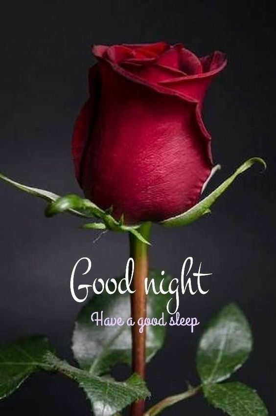 Good Night Have a Good Sleep