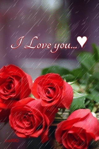 I Love You... -- Flowers in the rain