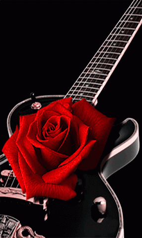 Guitar and Red Rose