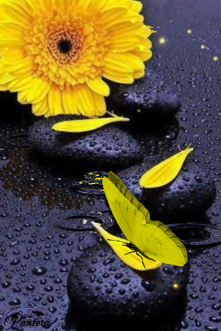 Yellow Flower and Butterfly