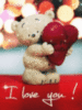 I Love You! -- Teddy Bear
