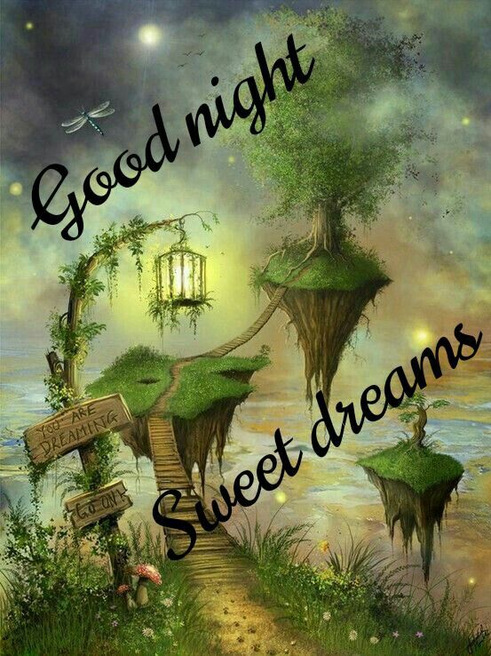 Good Night Sweet Dreams