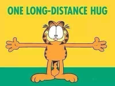 One long-distance hug -- Garfield