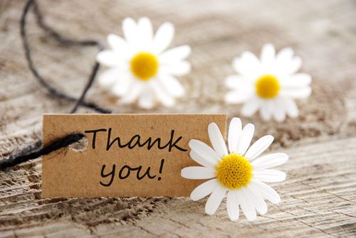 Thank You! -- Flowers