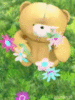 Teddy Bear and Flower Rain