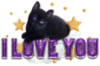 I Love You -- Black Kitten