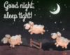 Good Night Sleep Tight!
