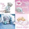 Good Night Sweet Dreams -- Teddy Bear