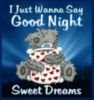 I Just Wanna Say Good Night Sweet Dreams -- Teddy Bear