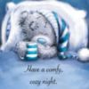 Have a comfy, cozy night. -- Tatty Teddy 