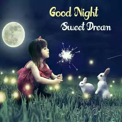 Good Night Sweet Dreams