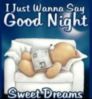 I Just Wanna Say Good Night Sweet Dreams -- Teddy Bear