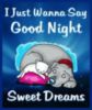 I Just Wanna Say Good Night Sweet Dreams 