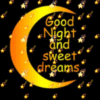 Good Night and Sweet Dreams