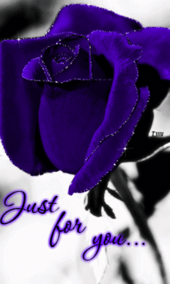 Just for you -- Blue Rose
