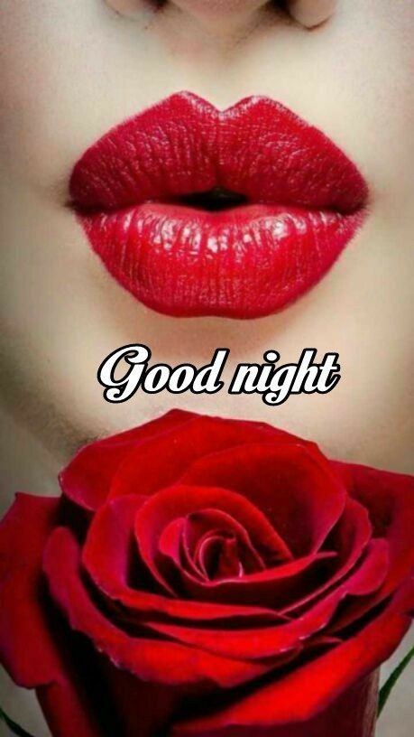 Good Night -- Red Rose and Red Lips
