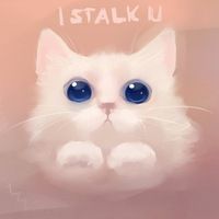I stalk you