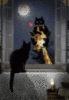 Love -- Black Cat in the Night