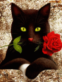 Black Cat with Red Flower