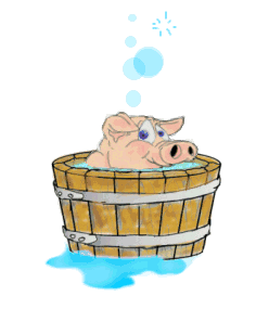 Pig takes a bath