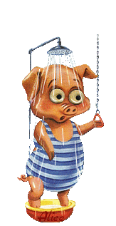 Pig takes a shower