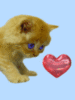 Cute Kitten with Heart