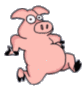 Piggy Runner
