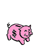 Piggy Money Bank