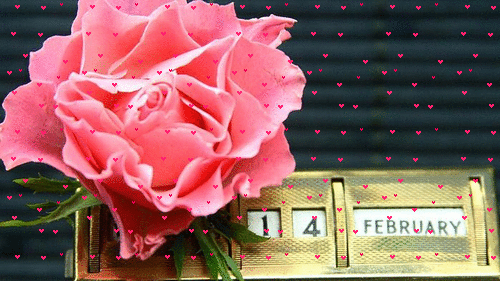 14 February Valentine's Day