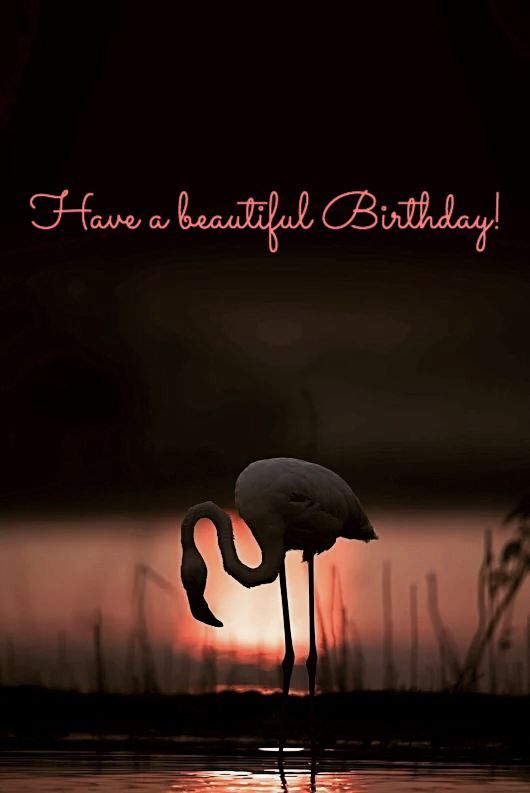 Have a beautiful Birthday!